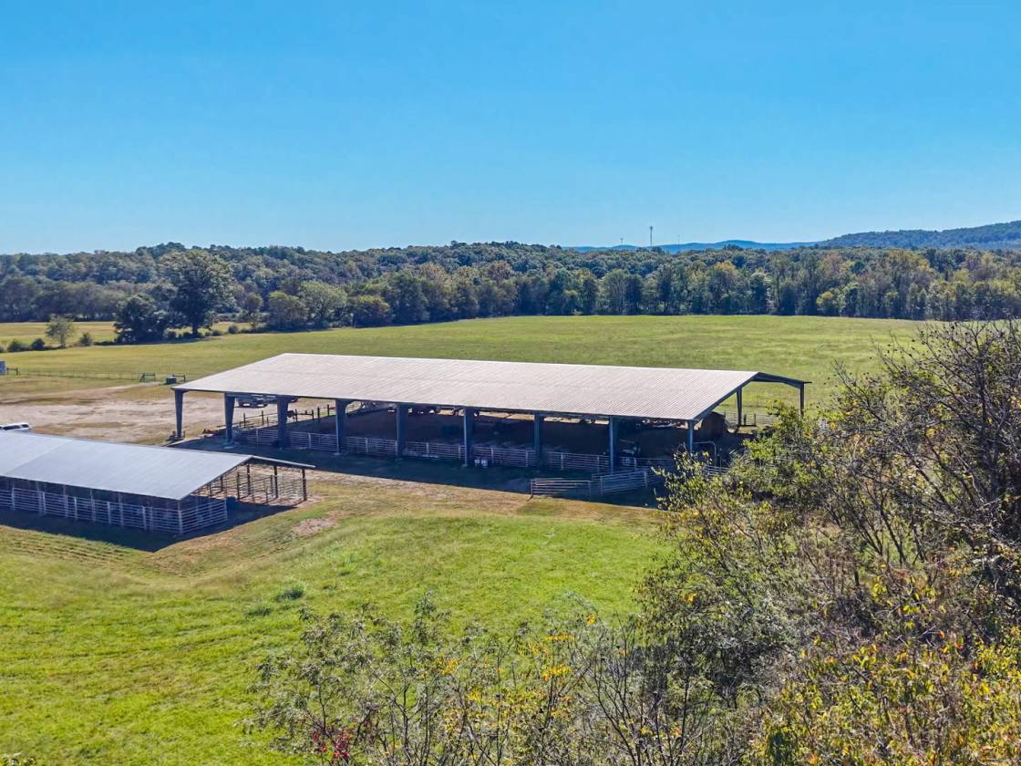 Horse Property for sale.