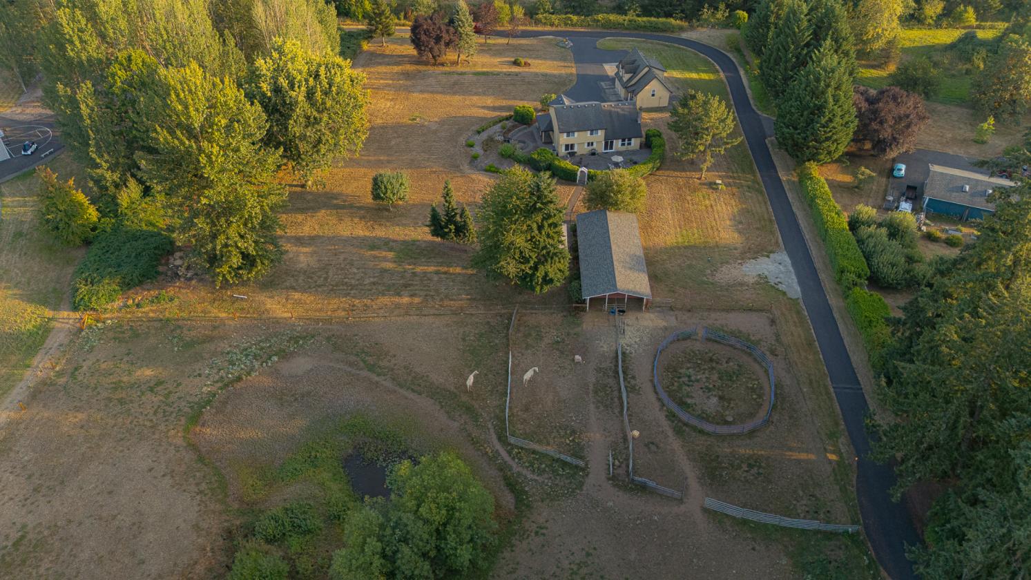 5 Ac Horse Property w/3.5 Stall Barn & Lovely Home - photo 21
