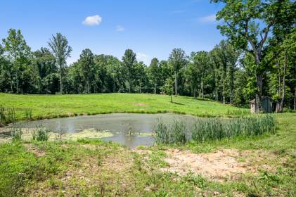 Property image.