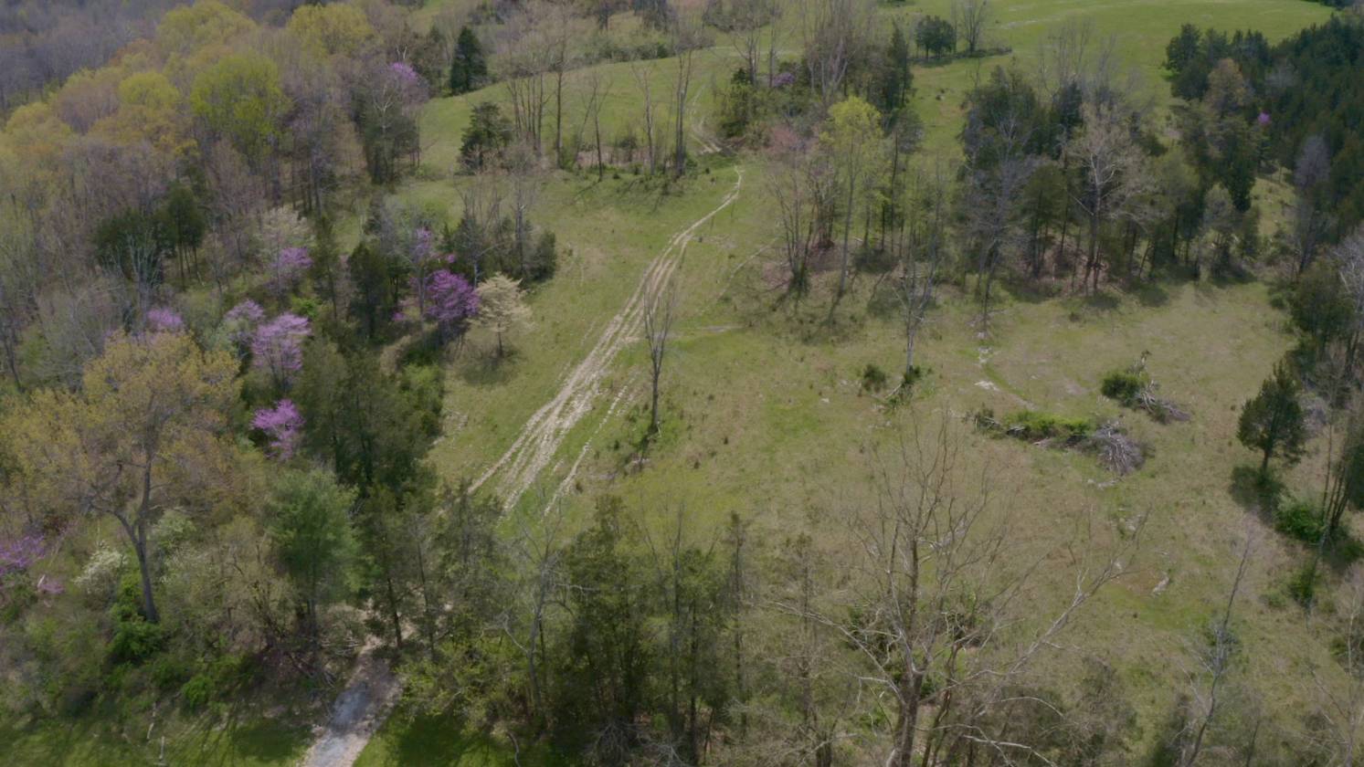 111 Acre Southwest Virginia Gentleman's Farm for sale in Ewing