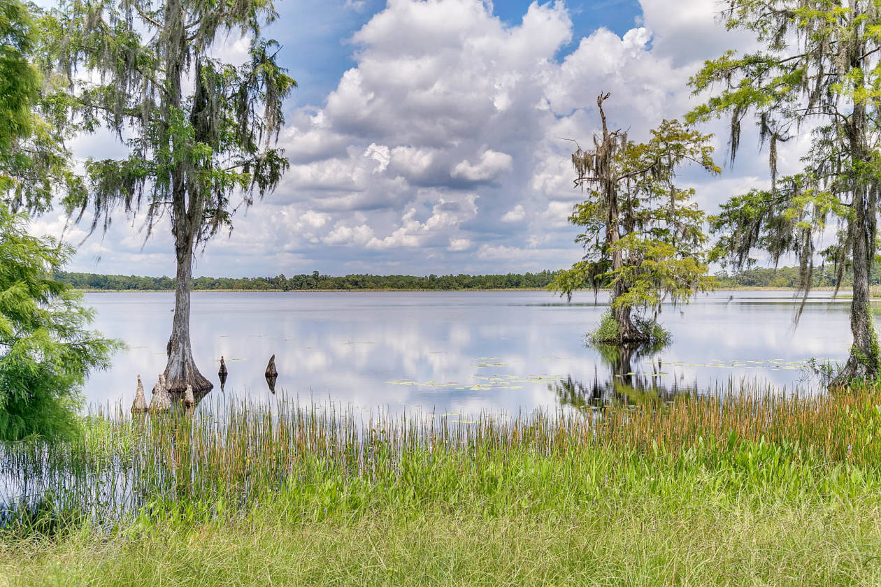 Reedy Lake Living within Disney World back gates Nesteled on ...