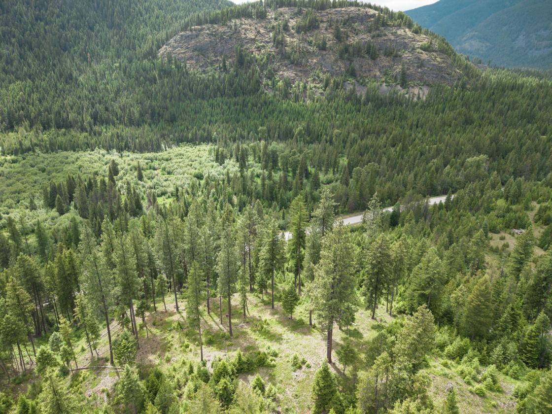 A Rare Opportunity to Own 155 acres - photo 7