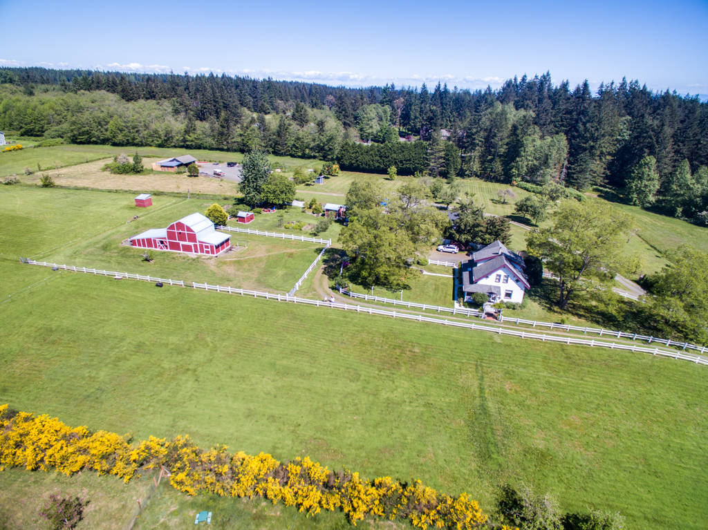 Updated vintage charm in a fabulous turnkey equestrian property on
