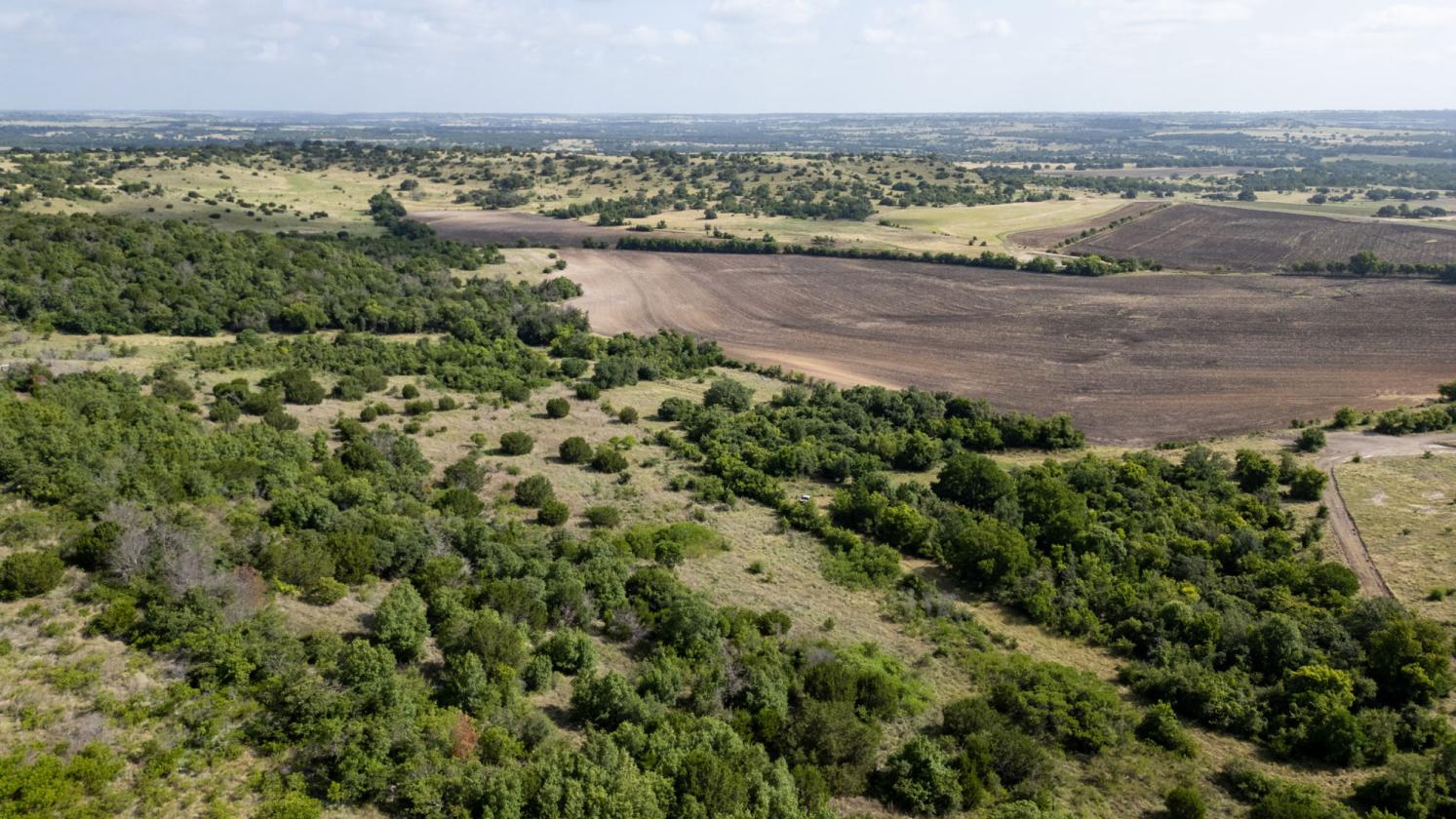 60 Acres in Star - Ready for Horses! - photo 13