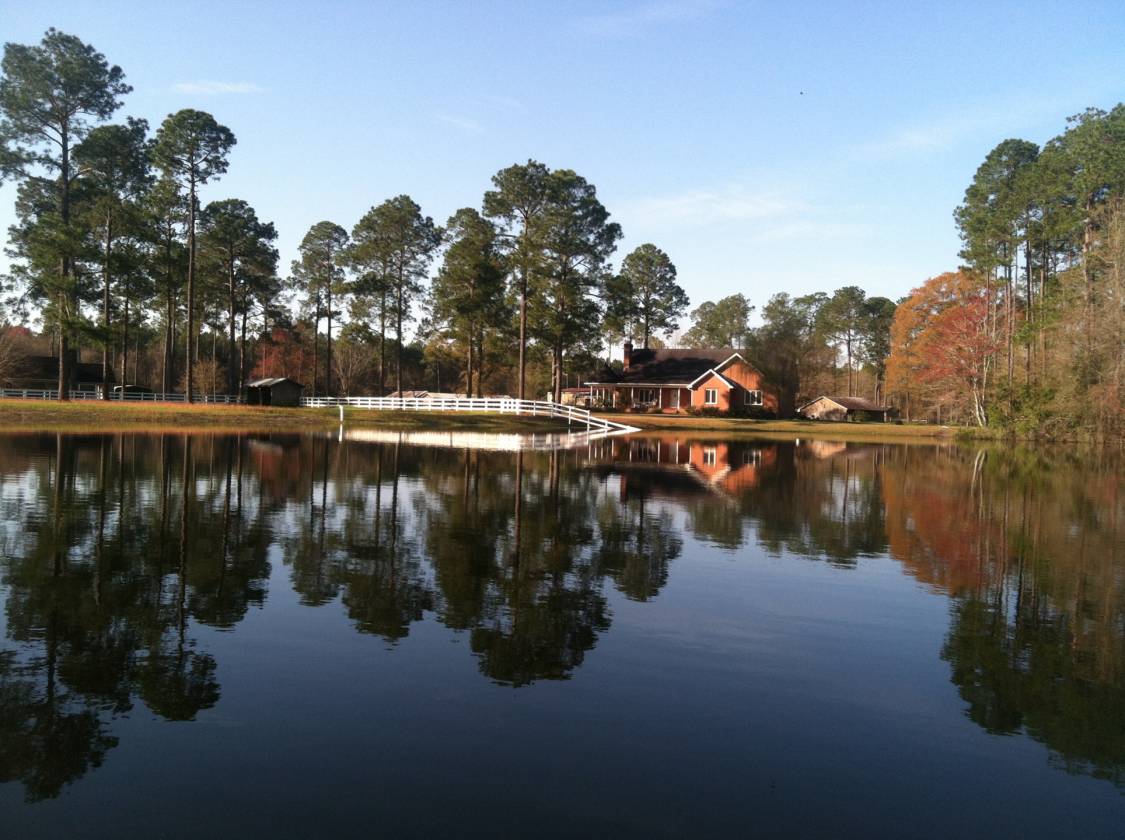 Horse Property for Sale in South Waycross, Ware County