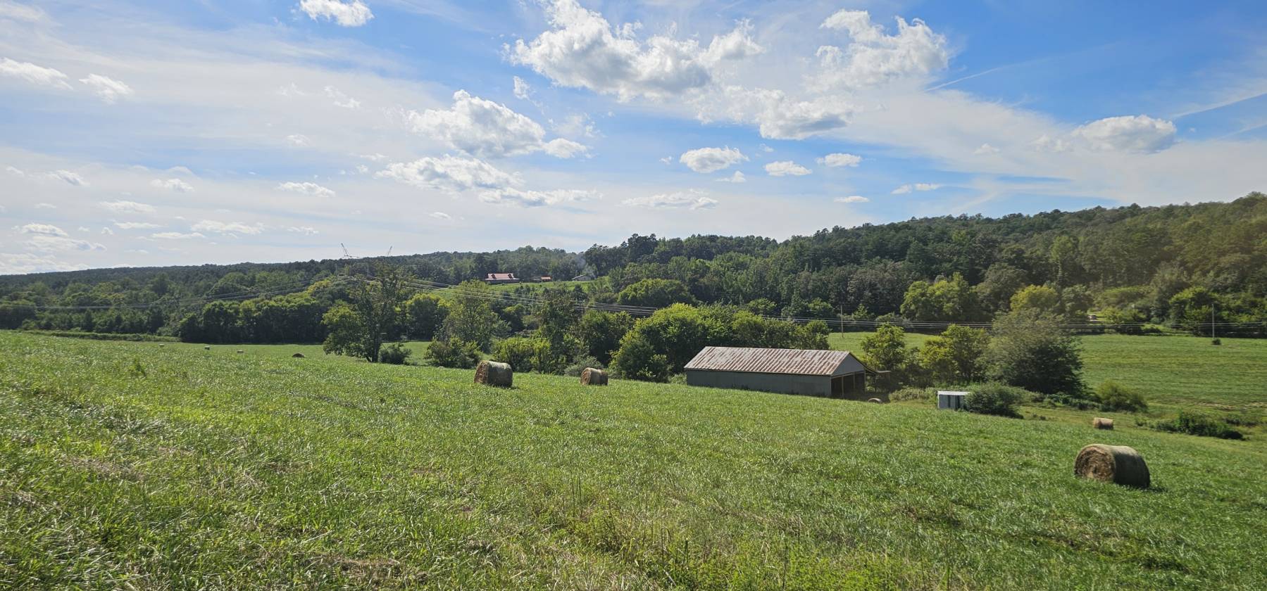 Horse Property for sale.