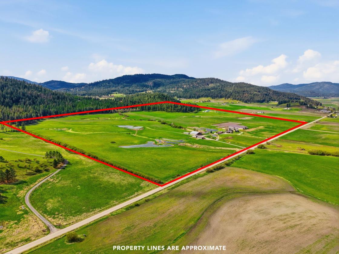 Burlington Ranch | Equestrian & Recreational Ranch - photo 21