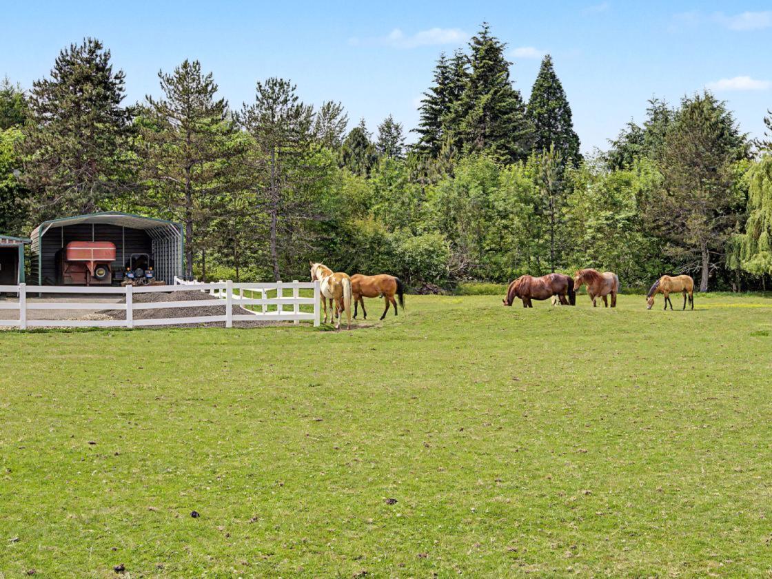 CLOSE IN HORSE LOVER'S DREAM - photo 15