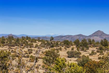 Property image.