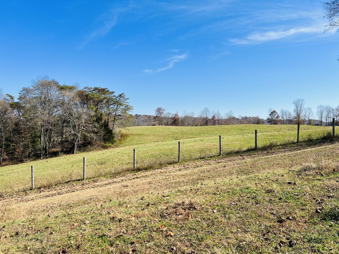 252 ACRES M/L NEAR LAKE CUMBERLAND - photo 6