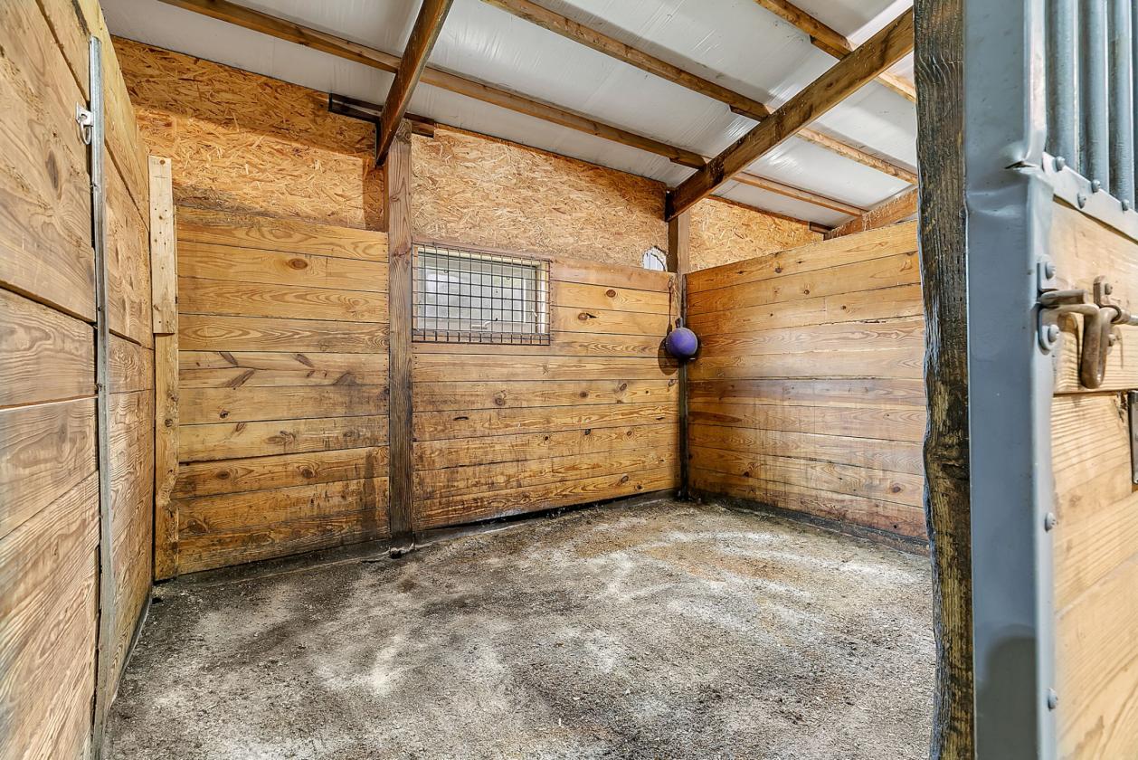 Luxury equestrian estate with a big arena - photo 27