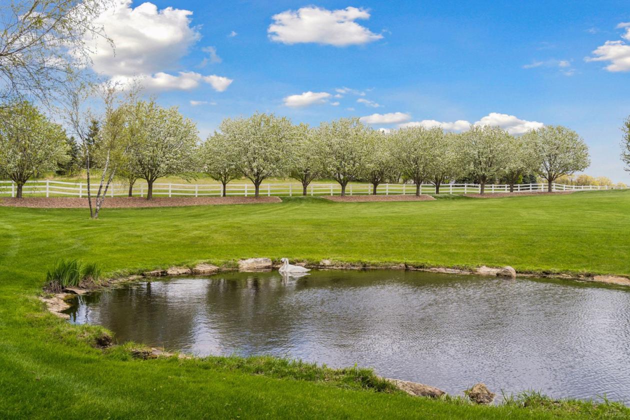 Serene Country Living with Equestrian Features! - photo 8