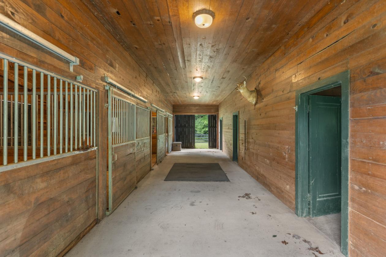 Luxury Equestrian Estate Bordering National Forest - photo 4