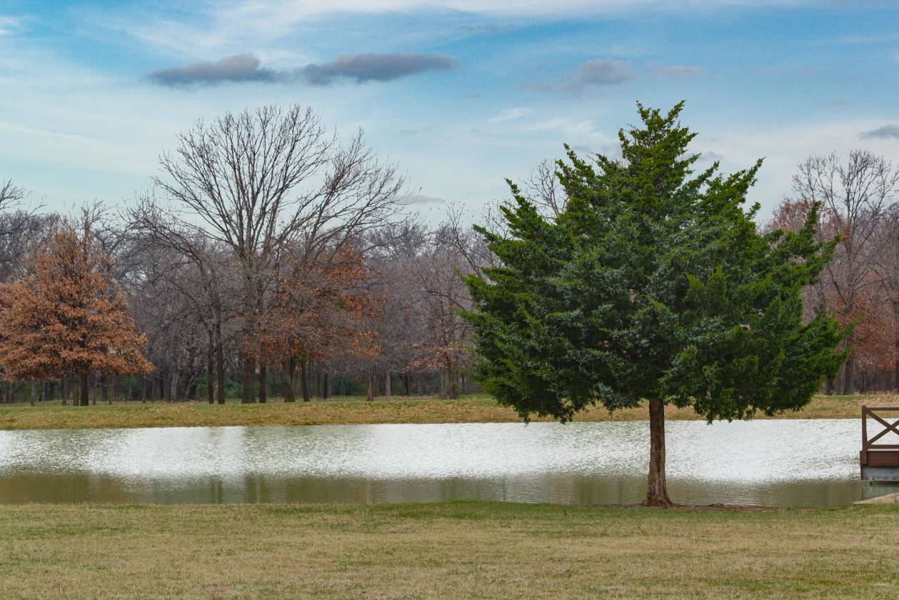 Luxurious Ranch Style Home with vast outdoor landscape for horse