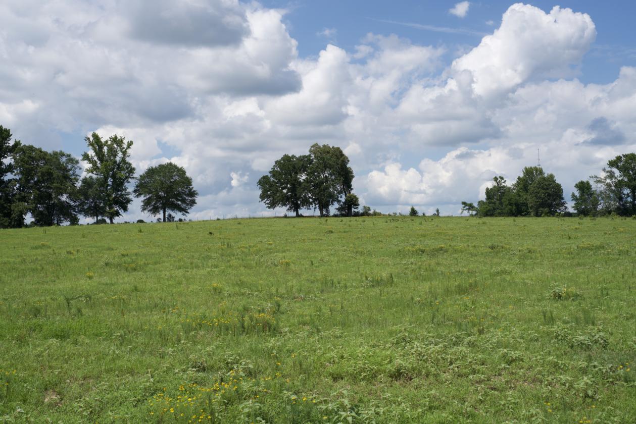 273+/- Acres With 20,000 Square Covered Arena - photo 20