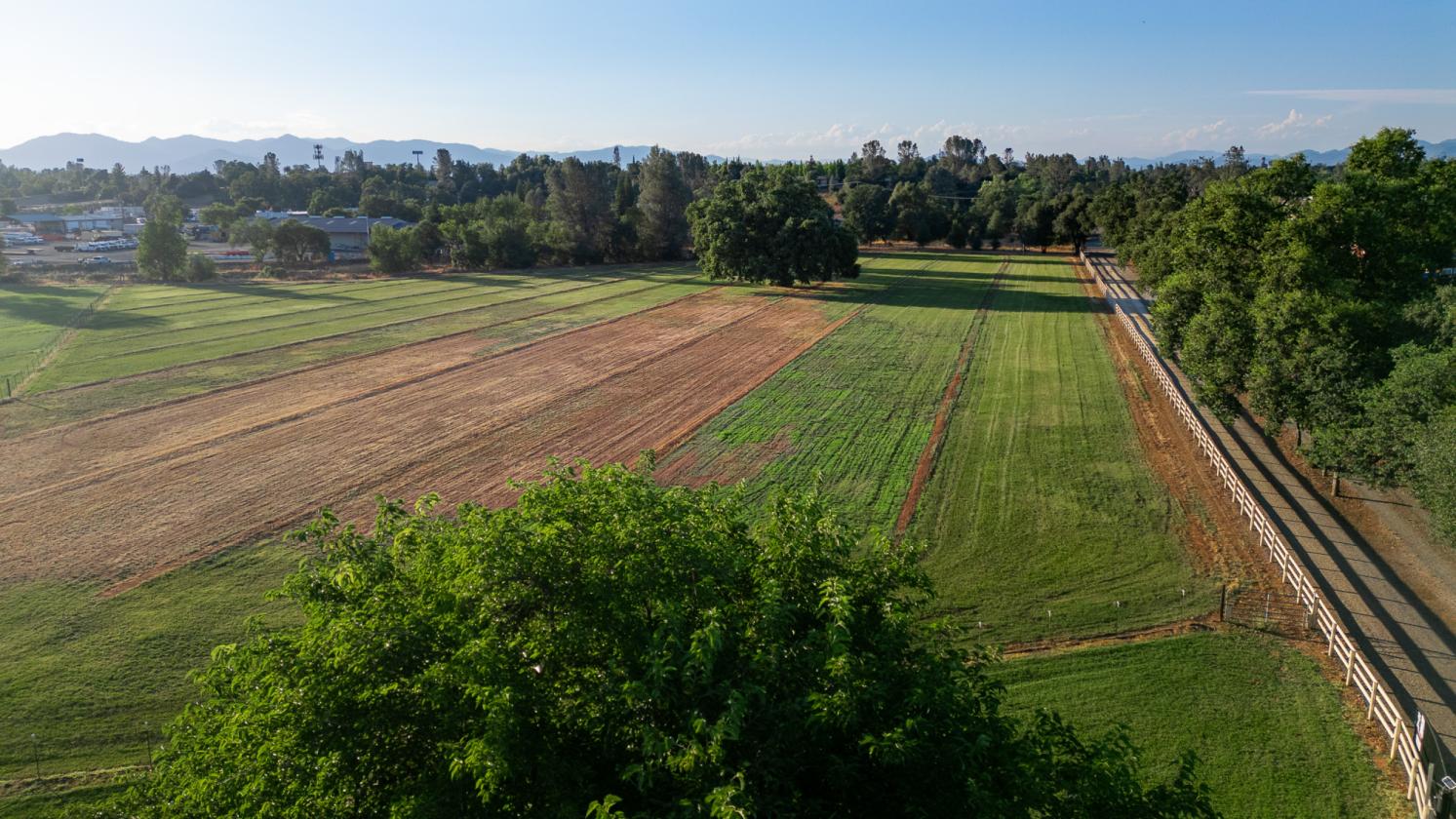 Well | Green Pastures | Barns | Arena |Gated |Oaks - photo 8