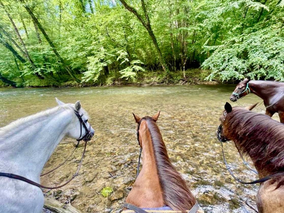 Luxury Barndominium, The Coves Mountain River Club - photo 28