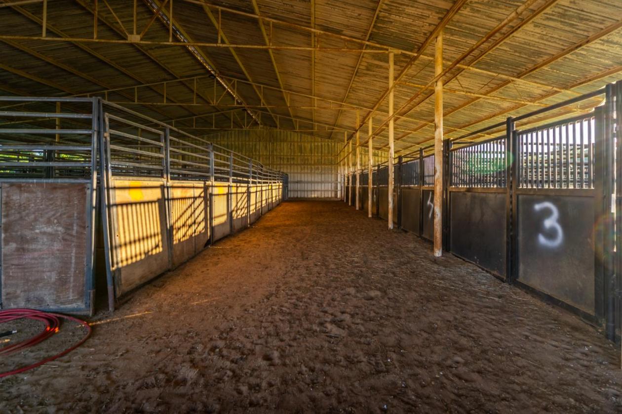 Elite Western Arena & Event Center - photo 9