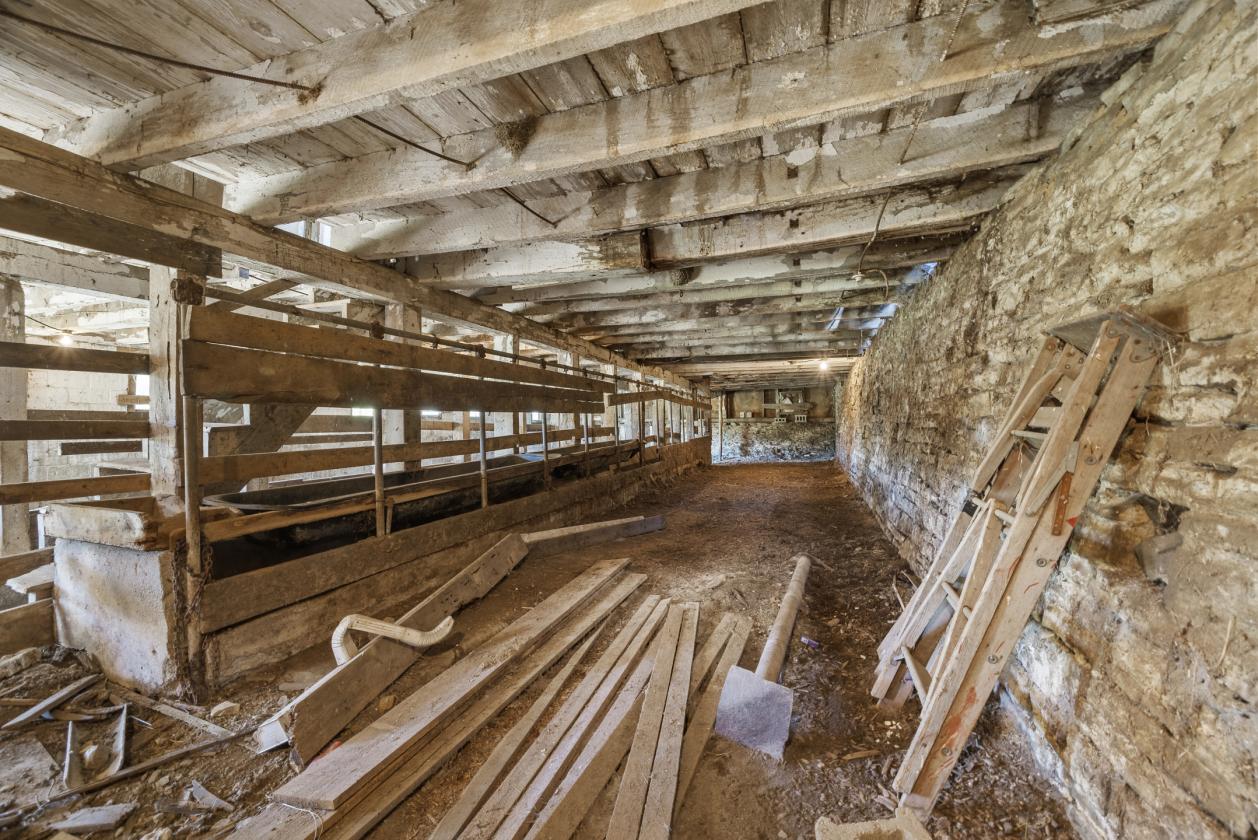 Room to Roam: 11.73 Acres with Classic Farmhouse - photo 17