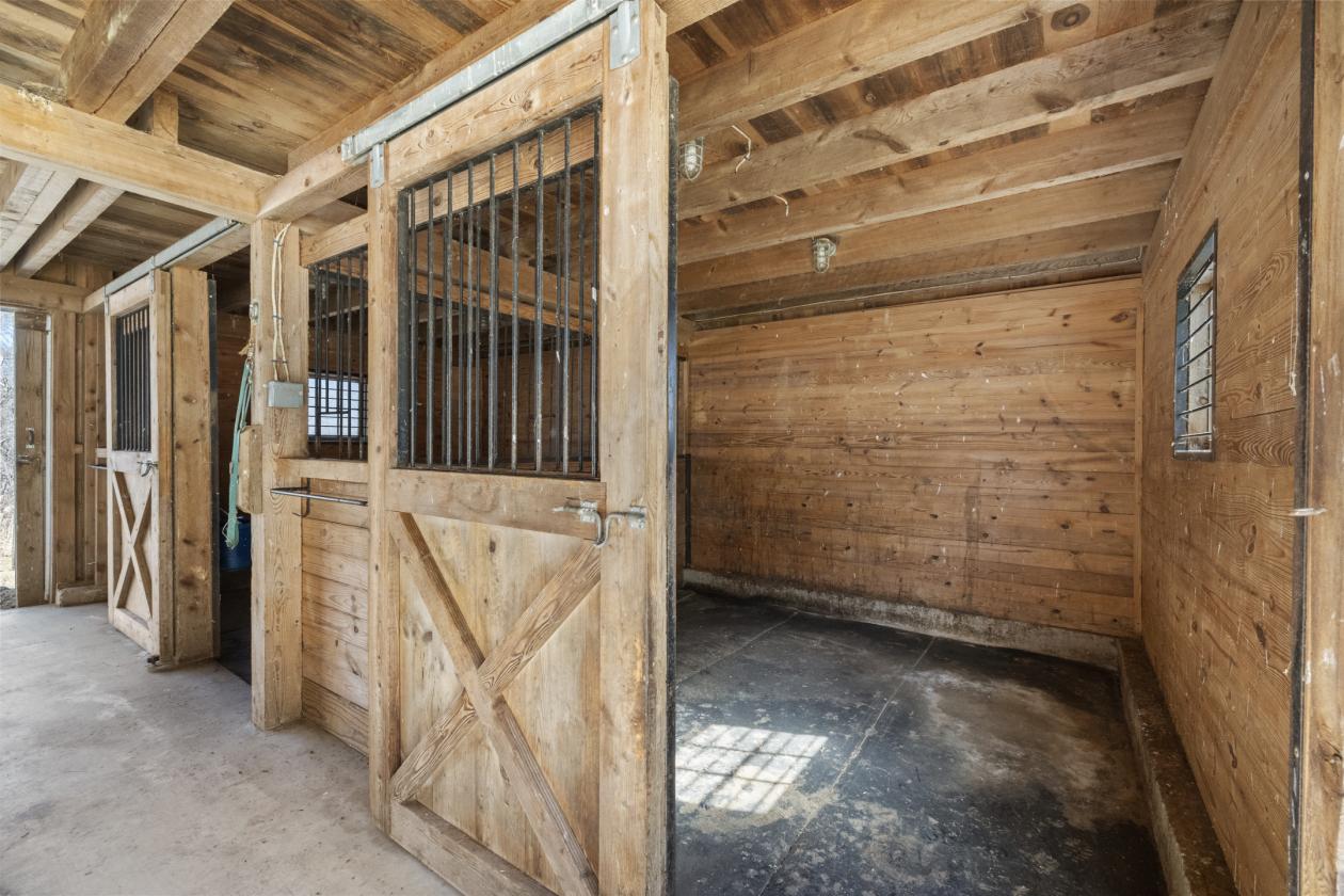 Hamden Horse Haven – Cozy Country Living - photo 10