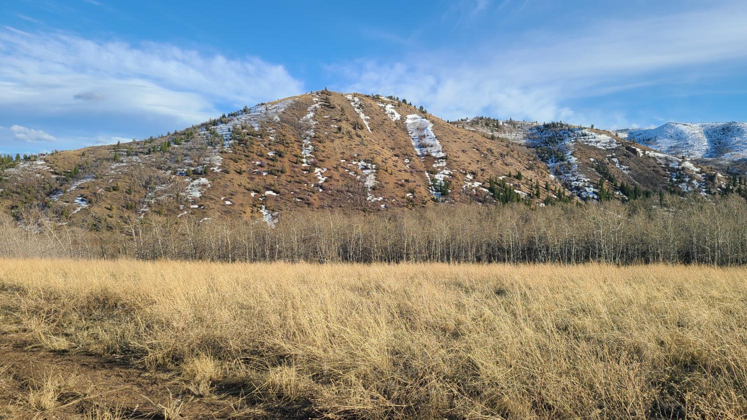 Reduced price!! Off grid property on 20.1 acres - photo 3