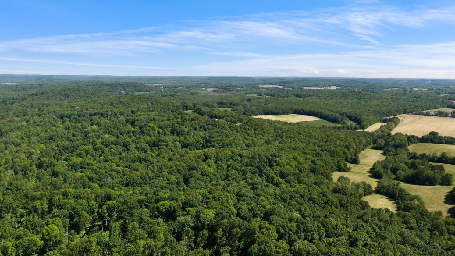125-Acre Kentucky Farm with Pond, Pasture & Woods - photo 8