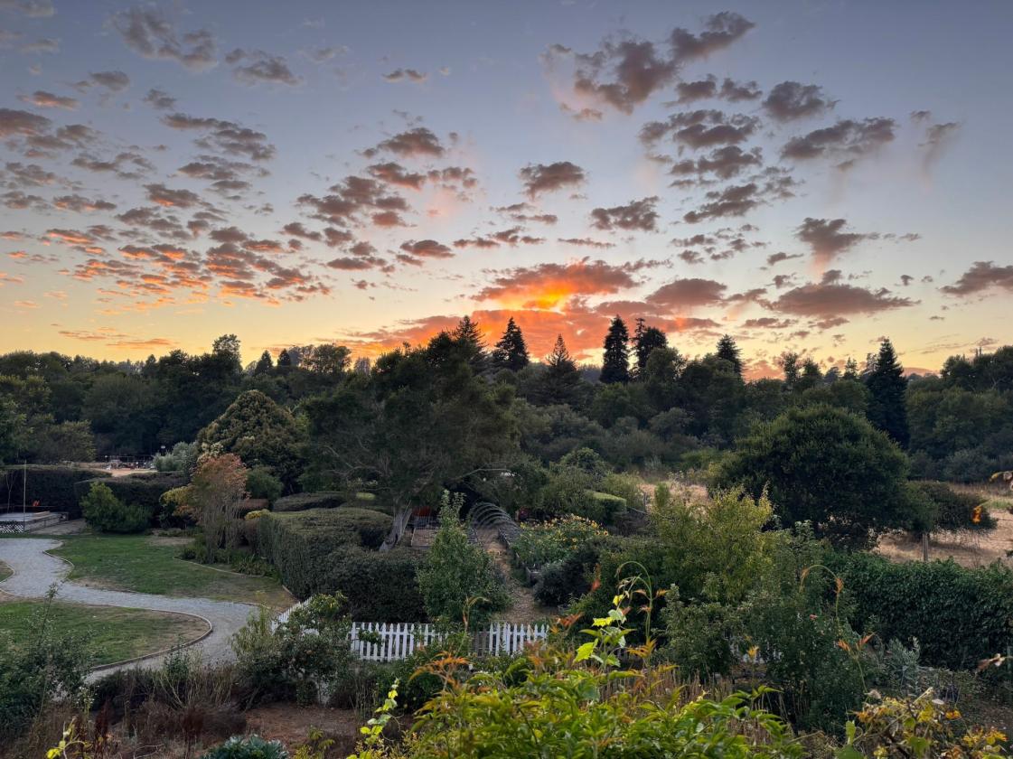 Rare Equestrian Estate on 5.9 Acres - photo 8