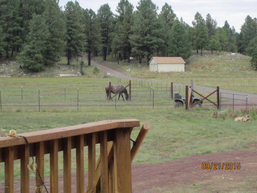 Borders National Forest with Guest House in Elk Park Meadows