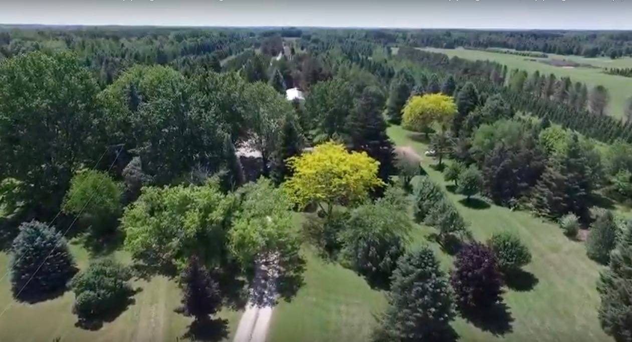 Rare and Incredible Licensed Hunting Preserve Applegate, Sanilac