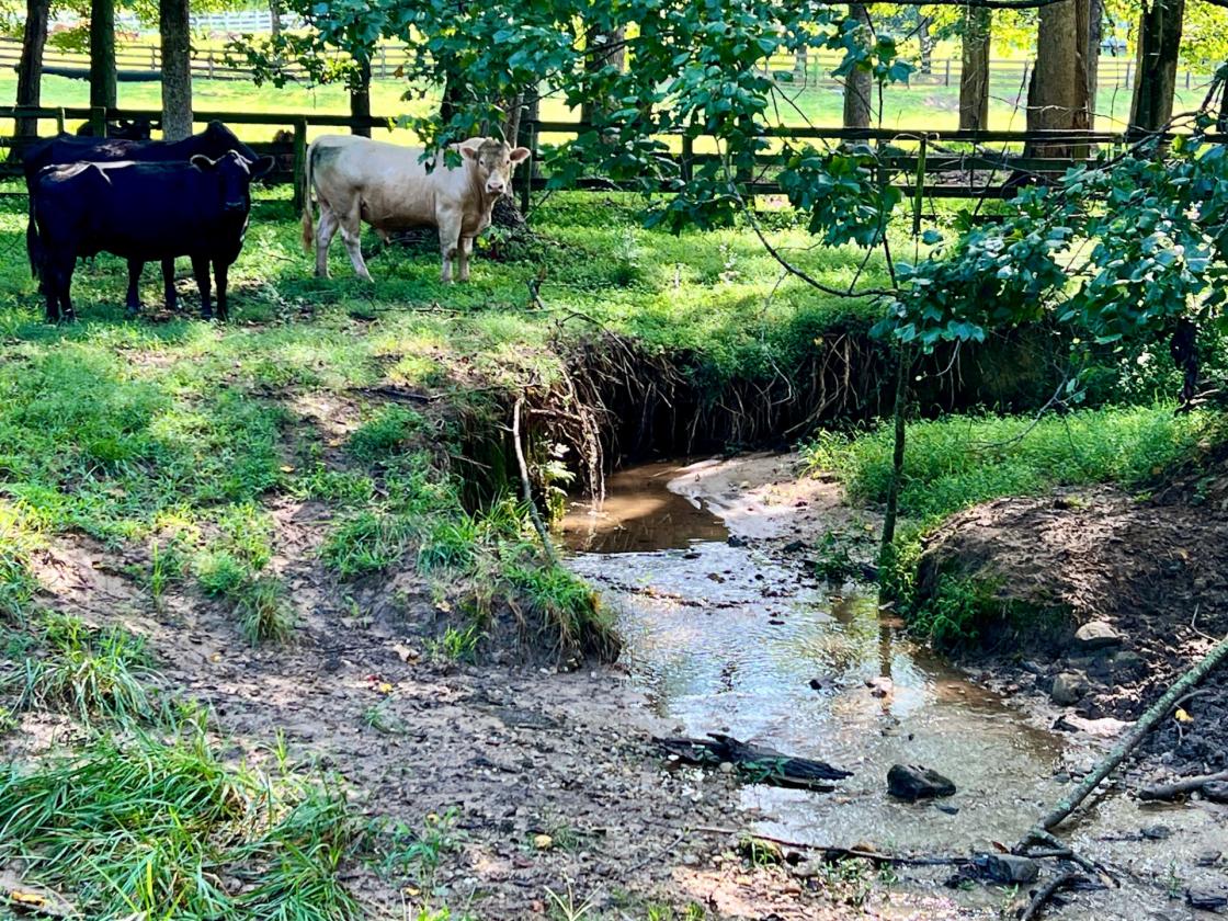 North Hall 20 Acre Farm - photo 28