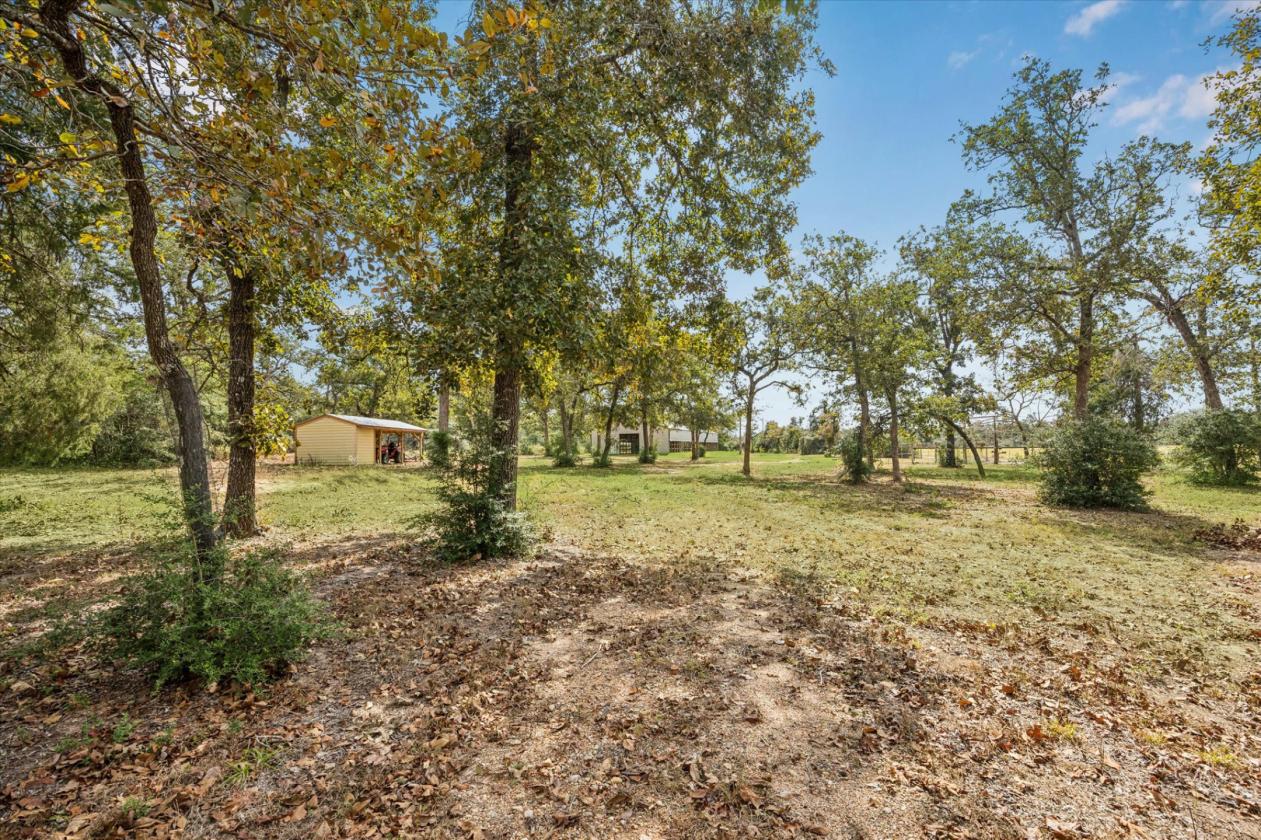 Beautiful Horse Barn on 5.2 Acres - photo 10
