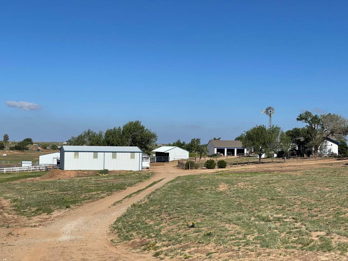 Horse Property for sale.