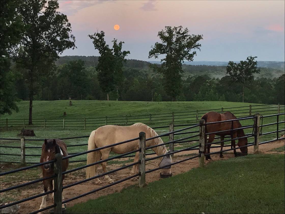 158 Acre Estate Home Paradise Heath Springs, Lancaster County, South
