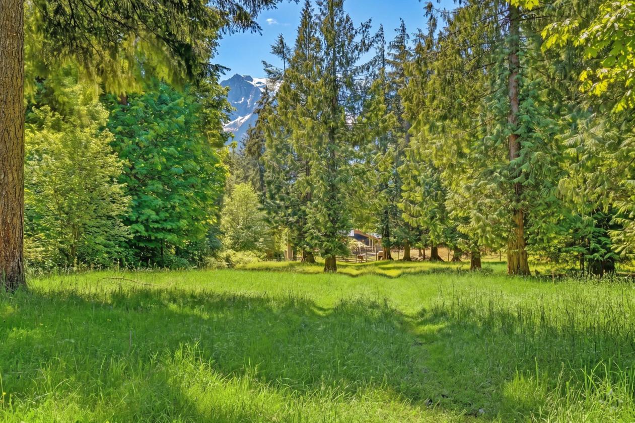 Whitehorse Area Farm - 7.61 acres + Arena - photo 22