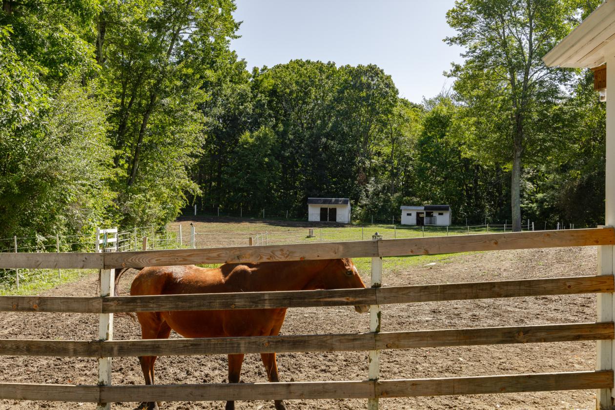 Impeccably kept horse property w/central location - photo 12
