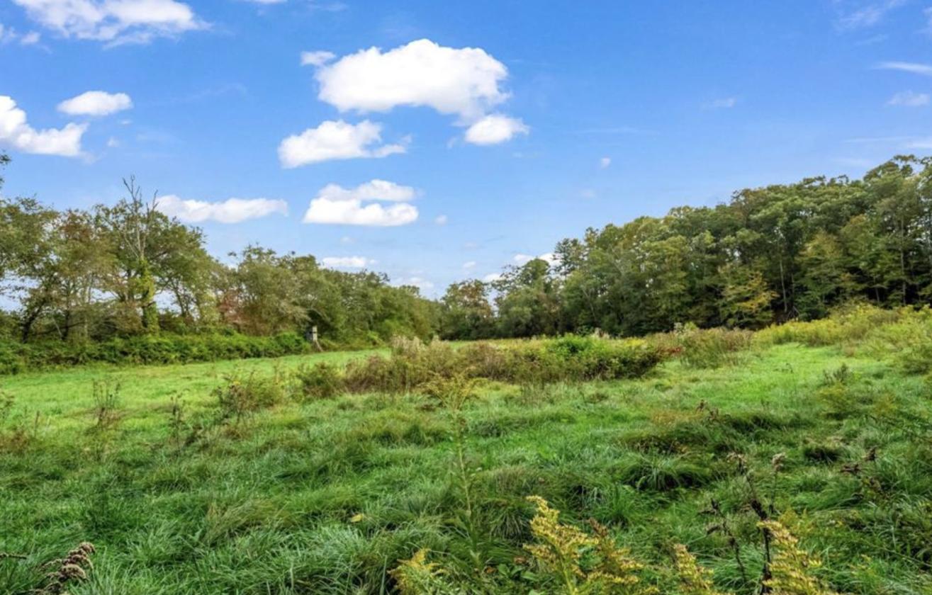 Nearly 50 Acres, Close to Asheville - photo 13