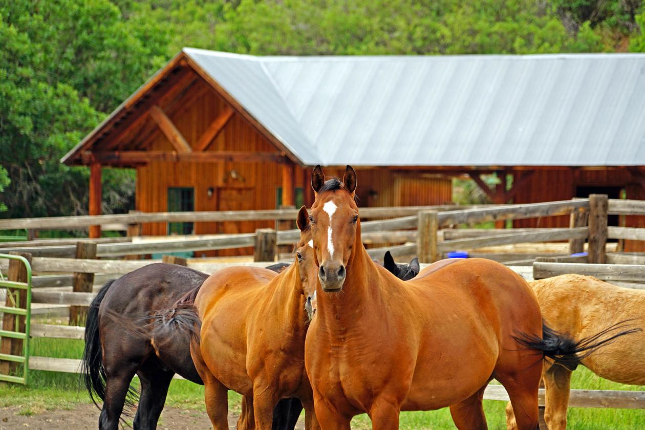 Ranch on Sweetwater - photo 17