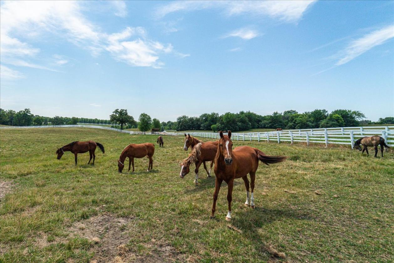 Country Living Horse Ranch Hobby Farm Entrepreneur - photo 27