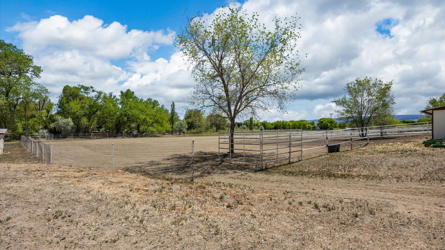 Rare equestrian sanctuary set on over 14 acres - photo 12
