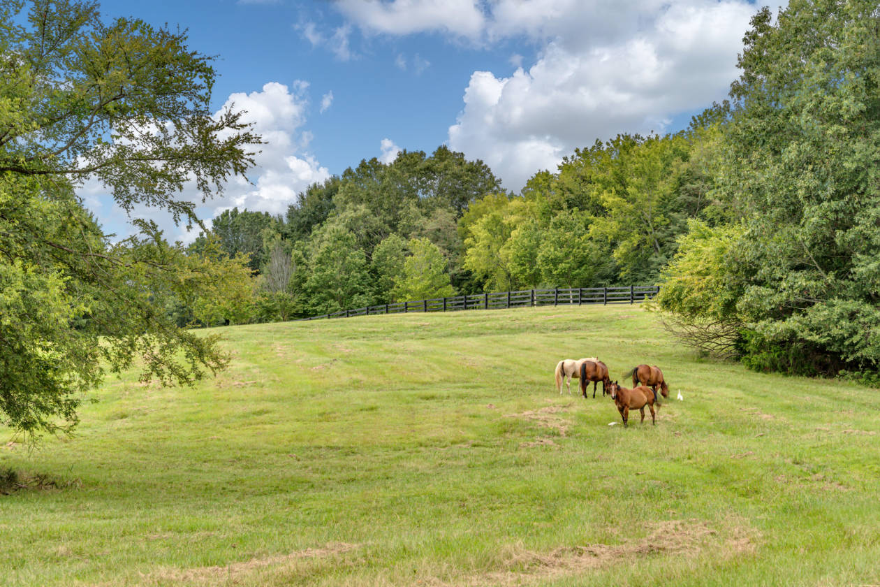 Horse Ranches For Sale in MS, Horse Farms & Property For Sale in