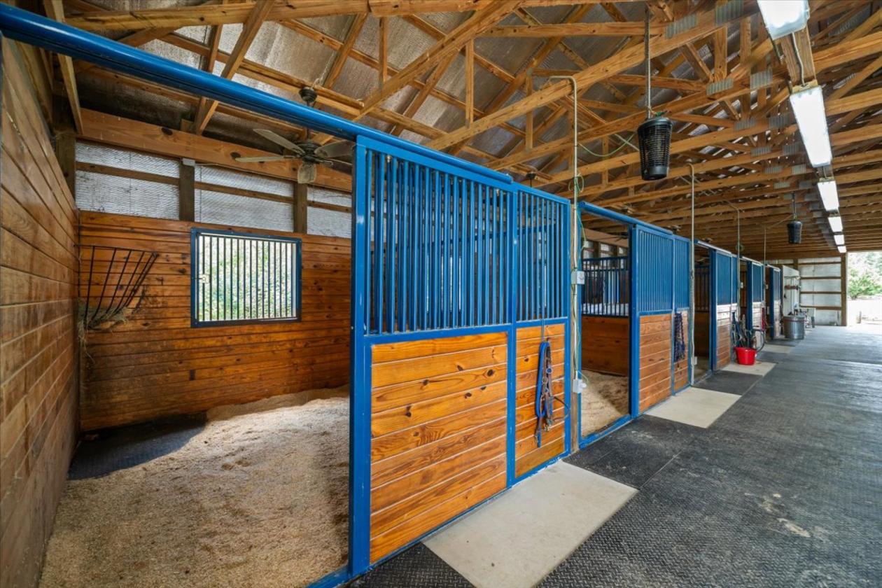 Luxury Equestrian Estate on 13.5 Acres - photo 5