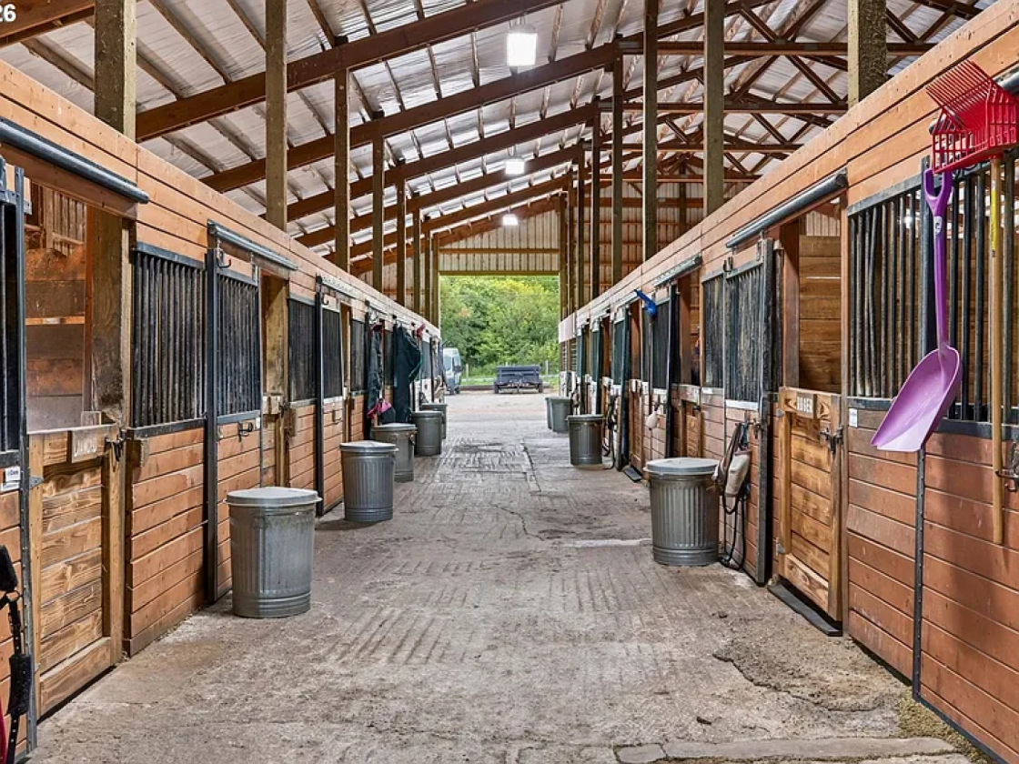 Luxury Equestrian Estate with 35 Stalls! - photo 8