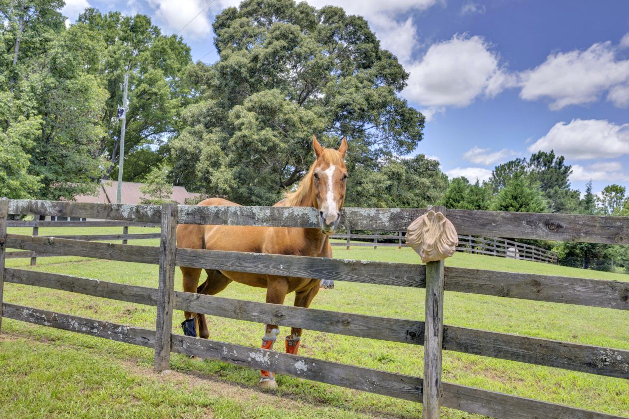 Exceptional 2.98 acre horse property with home - photo 28