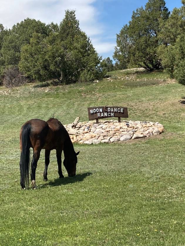 Horse Property for sale.