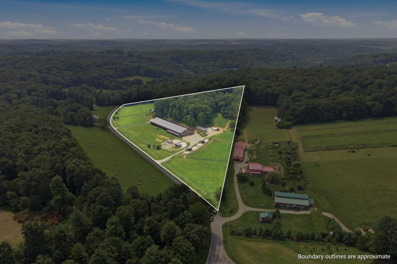 Exceptional Mohican Equine Estate Auction - photo 28