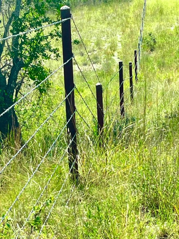 Grand View Ranch - photo 5