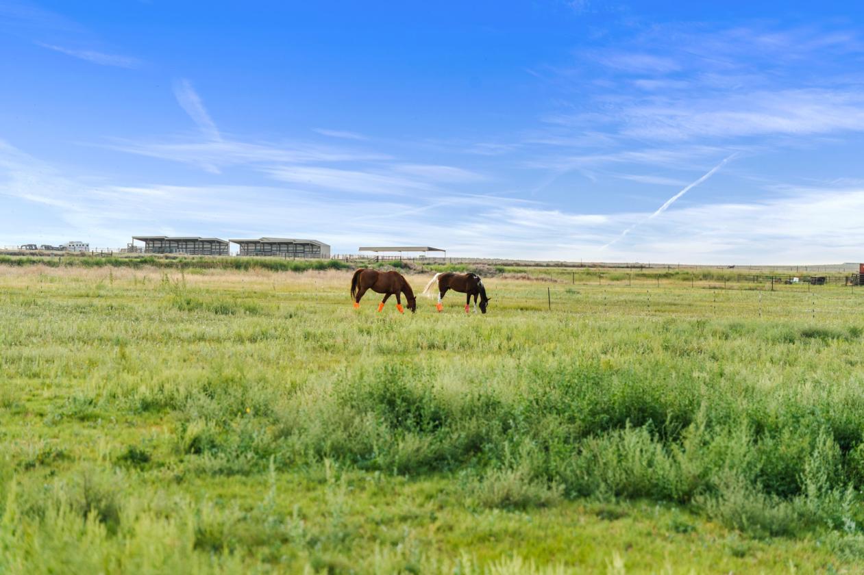 On 15 acres, a beautiful country life awaits - photo 9