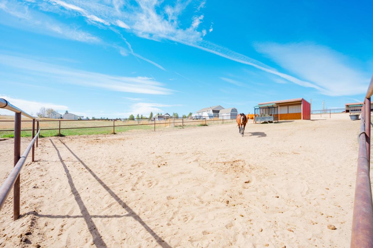 Close-in Equestrian Property! - photo 9