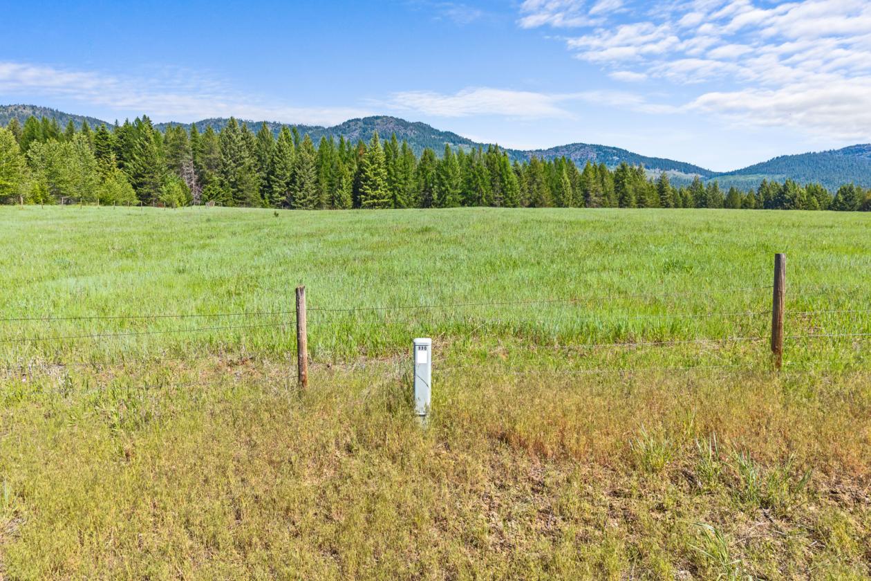 Level 20.65 acres w/Creek, Pasture & Woods - photo 13
