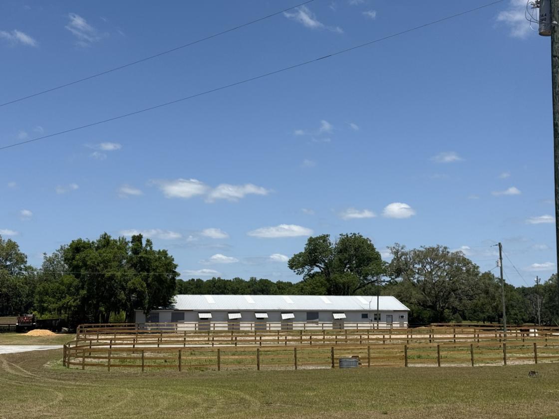Tiffany Farm - 108 Acres - photo 17